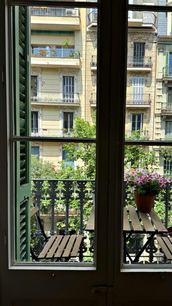 Cozy Barcelona balcony with flowers and historic architecture in the background.